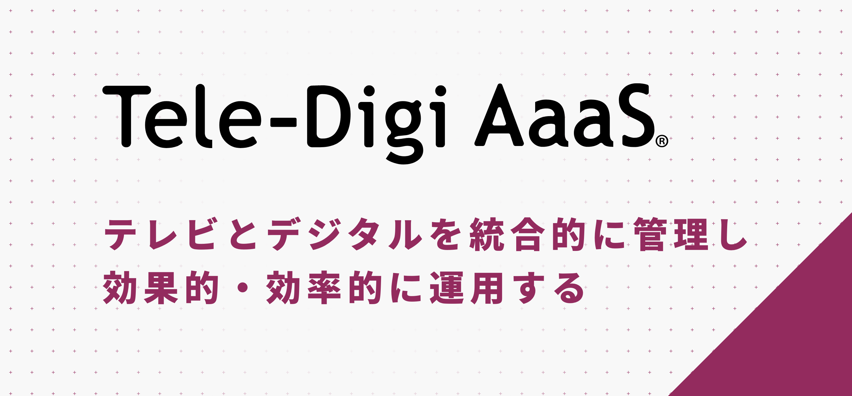 テレビの高速PDCA（次世代運用方広告）化を実現し、テレビ広告の効果最大化を目指す