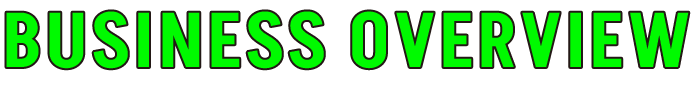 BUSINESS OVERVIEW